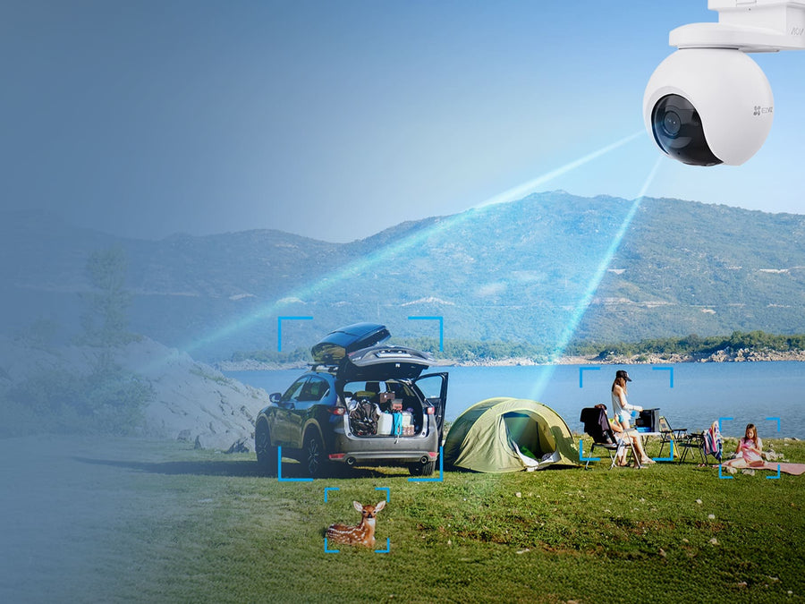 AI Human, Vehicle & Animal Detection
