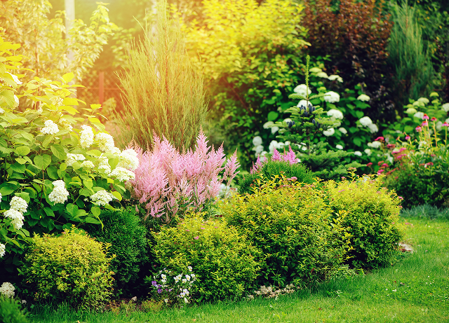 Lush garden
