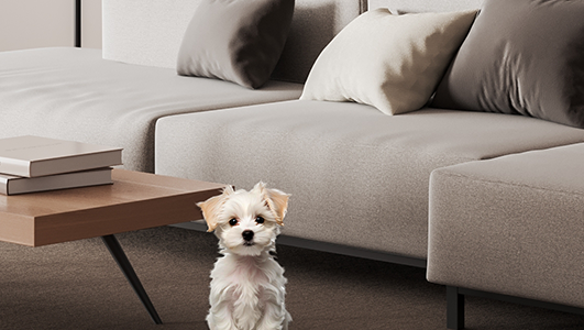 EZVIZ C6N G1 - Next-Generation Pan & Tilt Wi-Fi Smart Home Indoor Camera