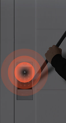 DL04 Pro Smart Deadbolt Lock