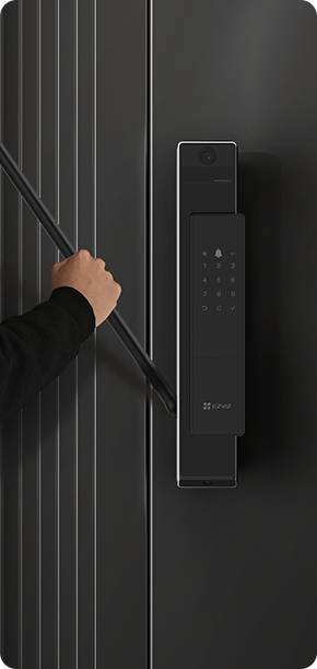 EZVIZ DL50FVX Dual-Cam Face Recognition & Palm Vein Smart Lock