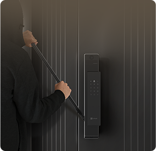 EZVIZ DL50FVX Dual-Cam Face Recognition & Palm Vein Smart Lock