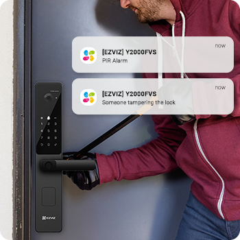 EZVIZ Y2000FVS Face Recognition Handheld Smart Lock